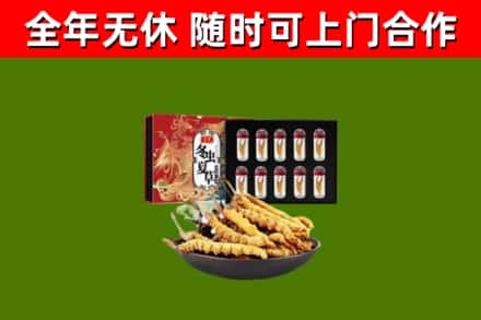 鄱阳县回收冬虫夏草价格