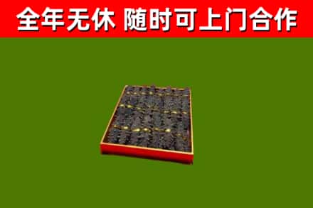 鄱阳县回收海参